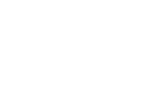 Dandelion Consulting Logo